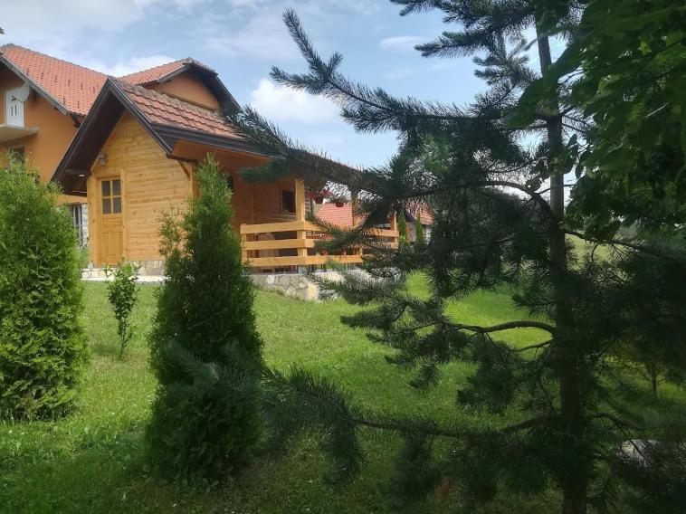Apartament Brvnara Brkovic Zlatibor Zewnętrze zdjęcie